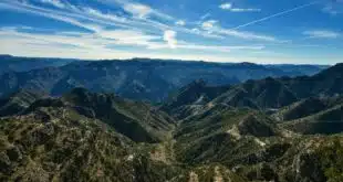 green trees on mountain under blue sky