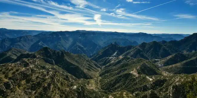 green trees on mountain under blue sky