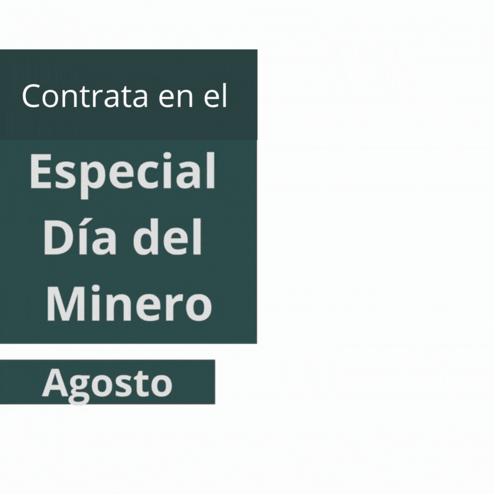 Banner Día del Minero
